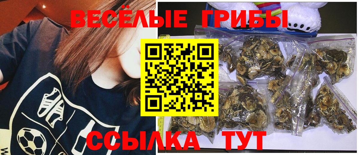 Псилоцибиновые грибы ЛСД Усинск
